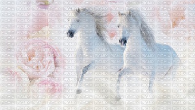 chevaux - 無料png