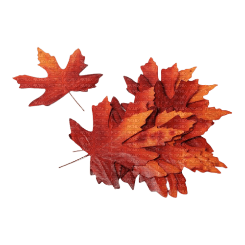 leaves blatt fall autumn feuille leaf - zadarmo png