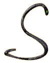 Black Snake S - Free animated GIF