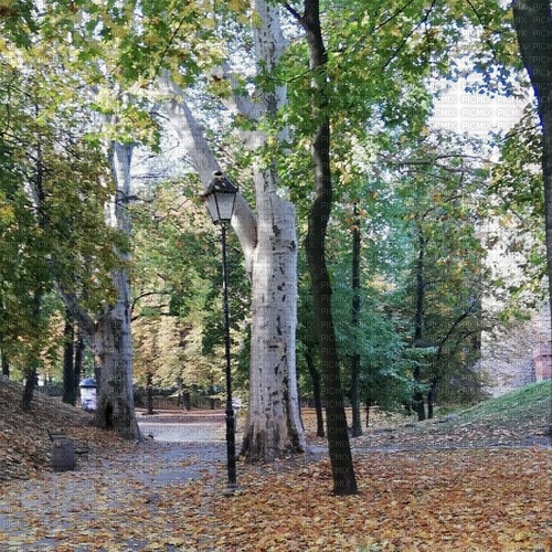Jesień. Park. Autumn.Background. - ücretsiz png