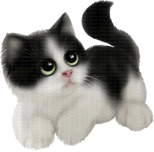 sweet cat - PNG gratuit