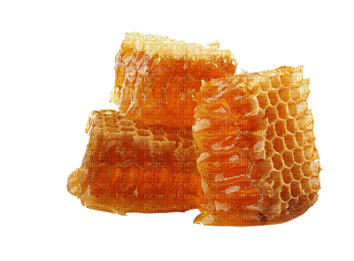 honey bp - png grátis