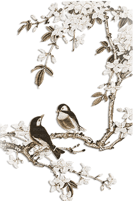 soave deco bird spring branch flowers sepia - 無料png