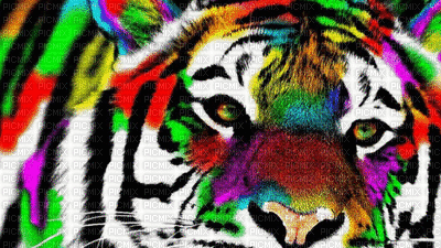 multicoloured bp - GIF animate gratis