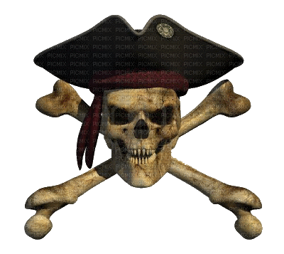 pirate skeleton bp - GIF animé gratuit