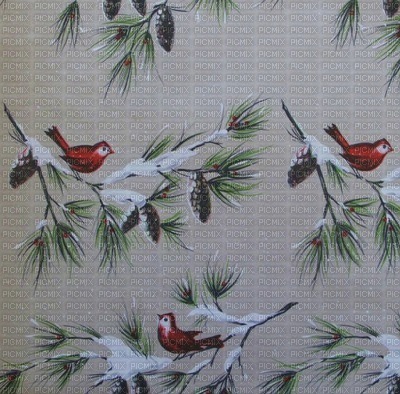 background-bg-winter-birds-vinter-fåglar - 免费PNG