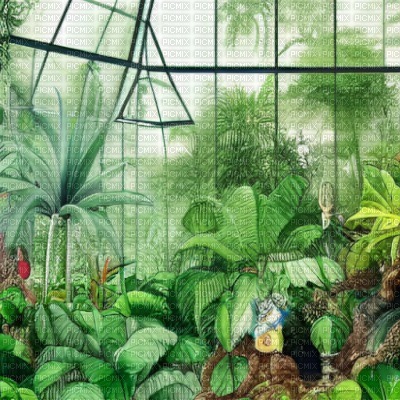 Tropical Greenhouse - gratis png