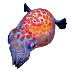 deep sea creature - PNG gratuit