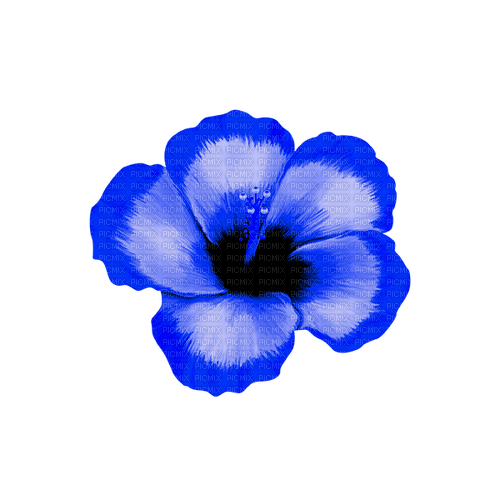 Tropical.Flower.Blue - kostenlos png