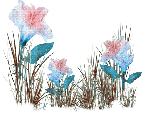 flowers milla1959 - фрее пнг