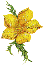 zluty kvet - Ingyenes animált GIF
