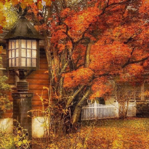 background, hintergrund, herbst, autumn - Безплатен анимиран GIF