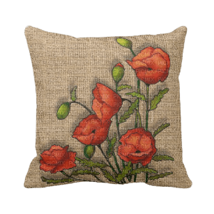 coussin - Free PNG