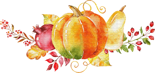 nbl-pumpkin - PNG gratuit