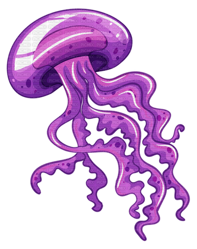 purple jellyfish Bb2 - png gratuito