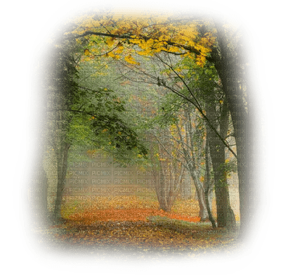 loly33 paysage automne - PNG gratuit