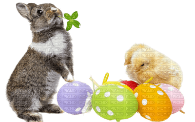 bunny hare hasen lièvre  sweet  easter Pâques Paques  ostern animal animaux tube egg chicken - Free PNG