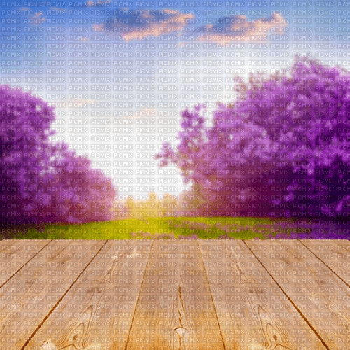 Y.A.M._Spring background - png ฟรี