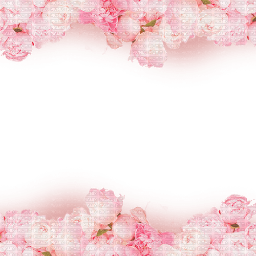 Frame pink roses - nemokama png