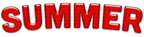 Summer.Text.Red - zdarma png