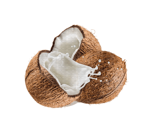 Coconut Milk Beige White - Bogusia - Free PNG