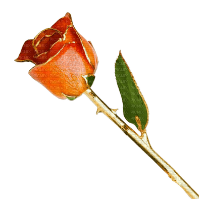 Rose Bud Glass - kostenlos png