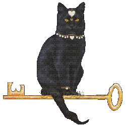 chat noir - Δωρεάν κινούμενο GIF