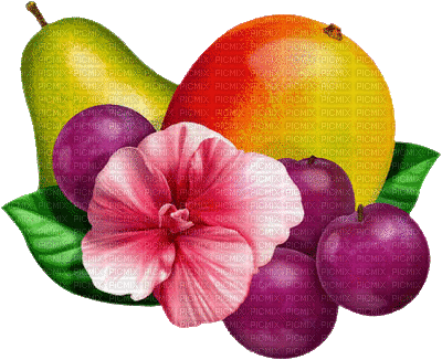 fruit - Gratis geanimeerde GIF