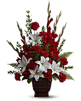 Kaz_Creations Deco Flowers Vase Colours - 免费PNG