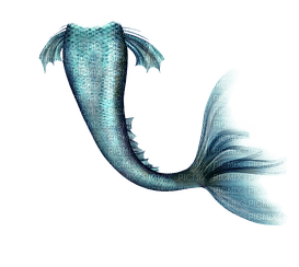 mermaid tail merenneito pyrstö - ücretsiz png