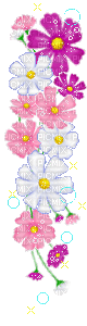fleurs roses - 無料のアニメーション GIF