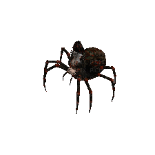 Spider bp - Besplatni animirani GIF