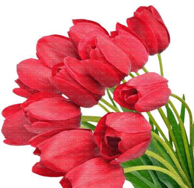 flower,fleur - png grátis