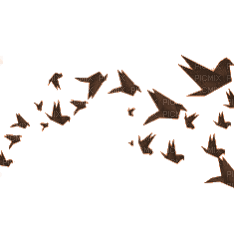 abstract birds - png grátis
