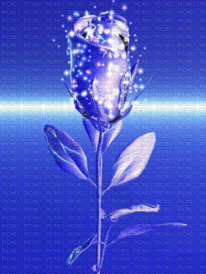 rose en bleu - GIF animado gratis