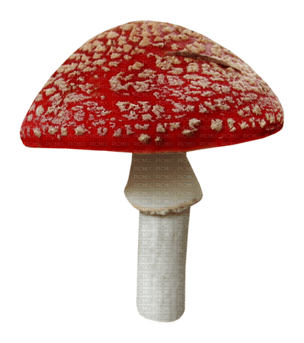 dolceluna deco png mushroom red - darmowe png