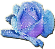 rosas azules by EstrellaCristal - gratis png