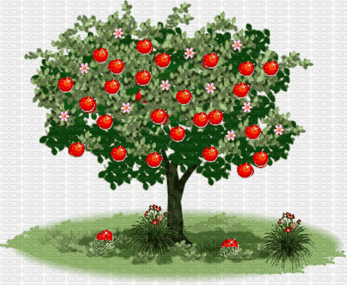 Background Apple Tree - GIF animado grátis