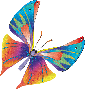 Schmetterling - безплатен png