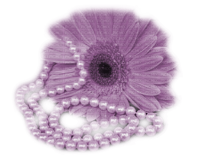 cecily-fleur perles - png gratis