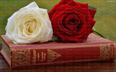 ROSES AND THE BOOK - ingyenes png