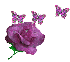 fleur - Gratis animerad GIF