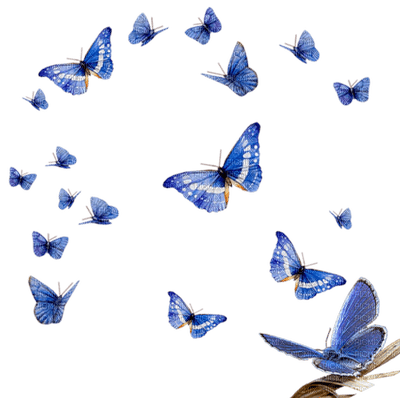 papillon - ingyenes png