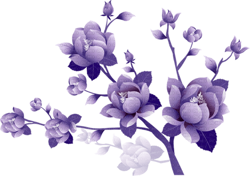 purple flower - zadarmo png