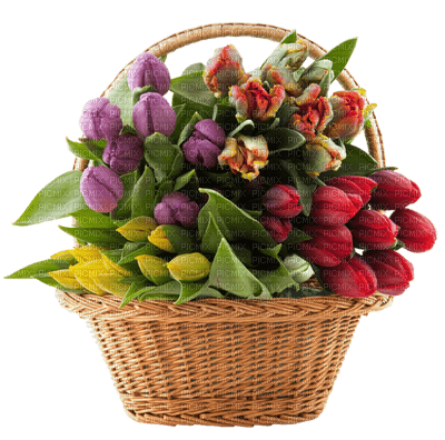 Kaz_Creations Flowers Deco Flower Colours Basket - фрее пнг