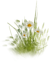 dulcineia8 flores - PNG gratuit