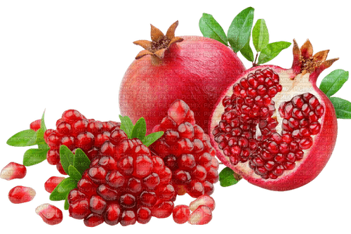 pomegranate Bb2 - фрее пнг