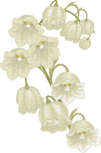 lily of the valley Bb2 - zadarmo png