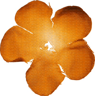 orange flower deco scrap summer dolceluna - png ฟรี