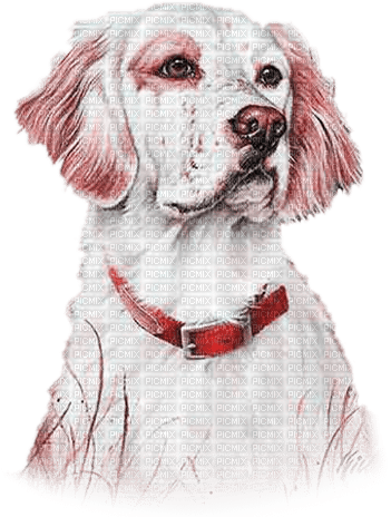 soave animals vintage autumn dog deco white pink - PNG gratuit